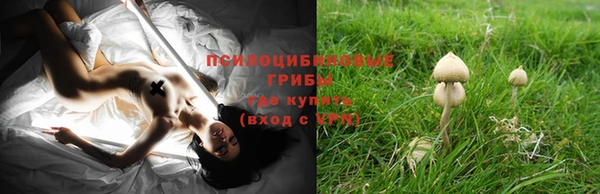 тгк Волосово
