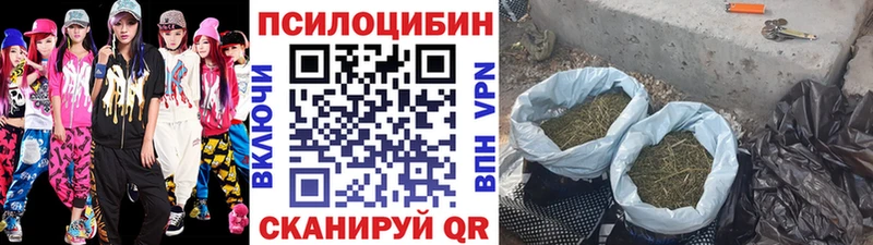 Купить  Рассказово  Галлюциногенные грибы Cubensis 
